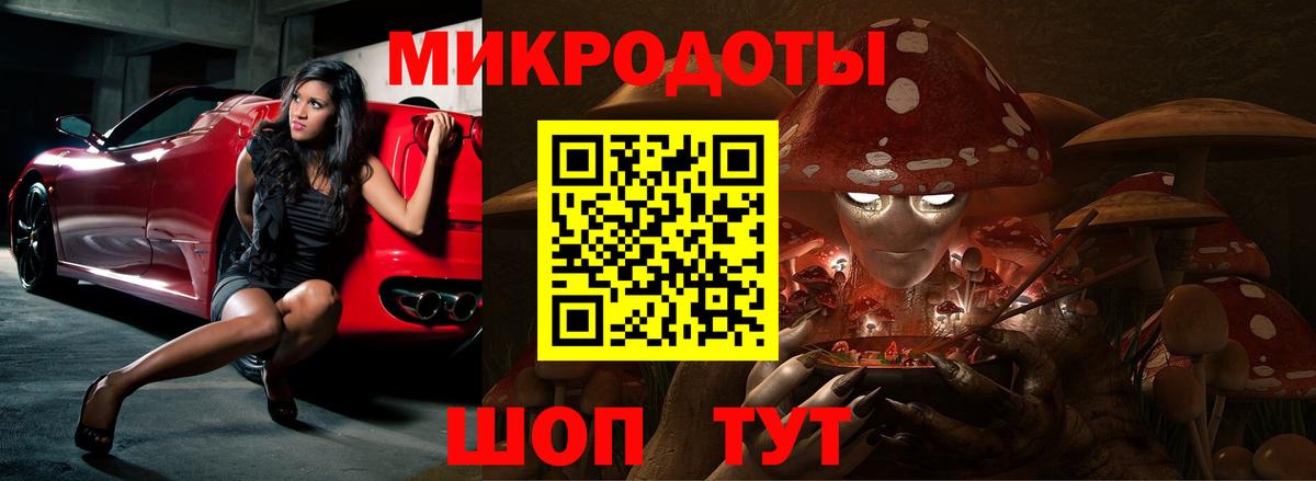 Галлюциногенные грибы Psilocybe Кимры