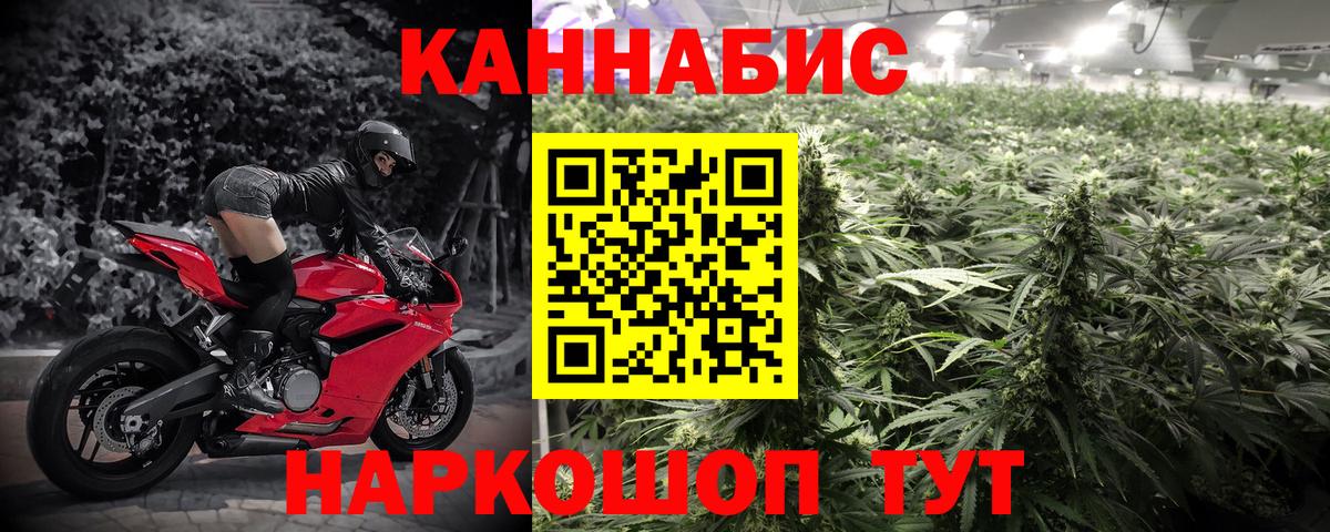 Канабис планчик Кимры